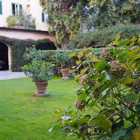 Loft Moderno Ubicato Nel Centro Storico Di Lucca Apartment Bagian luar foto