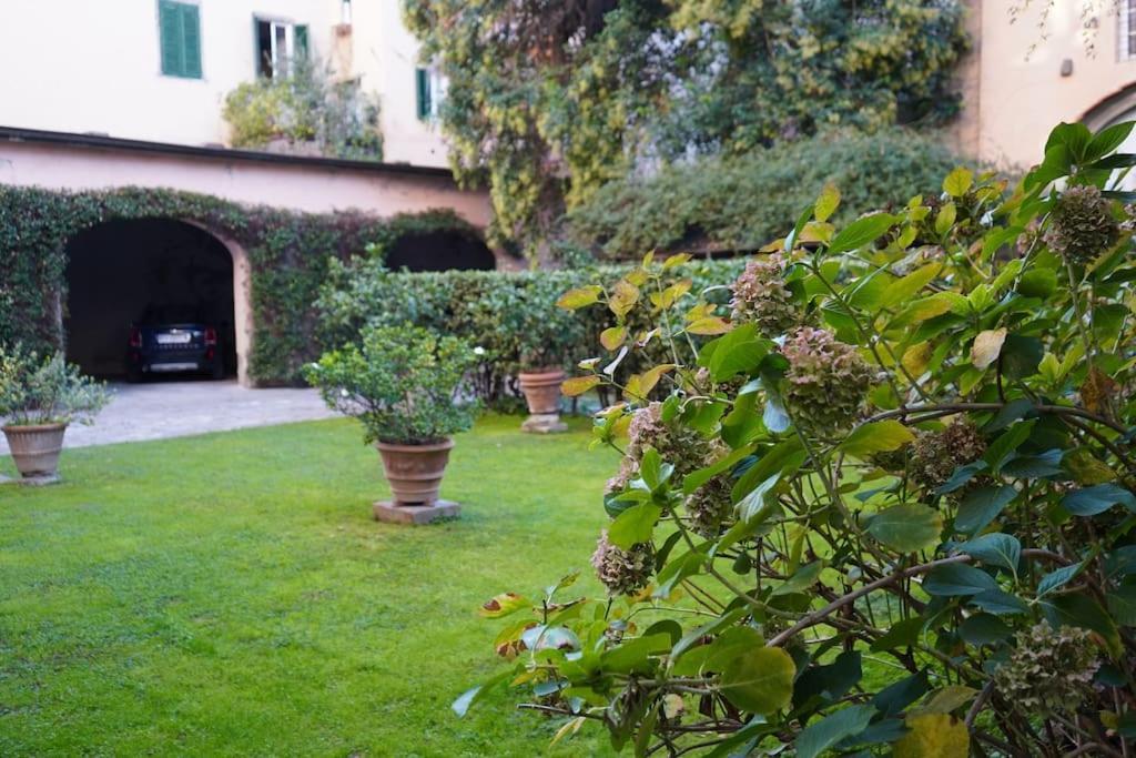 Loft Moderno Ubicato Nel Centro Storico Di Lucca Apartment Bagian luar foto